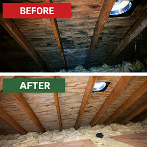 Attic Before After